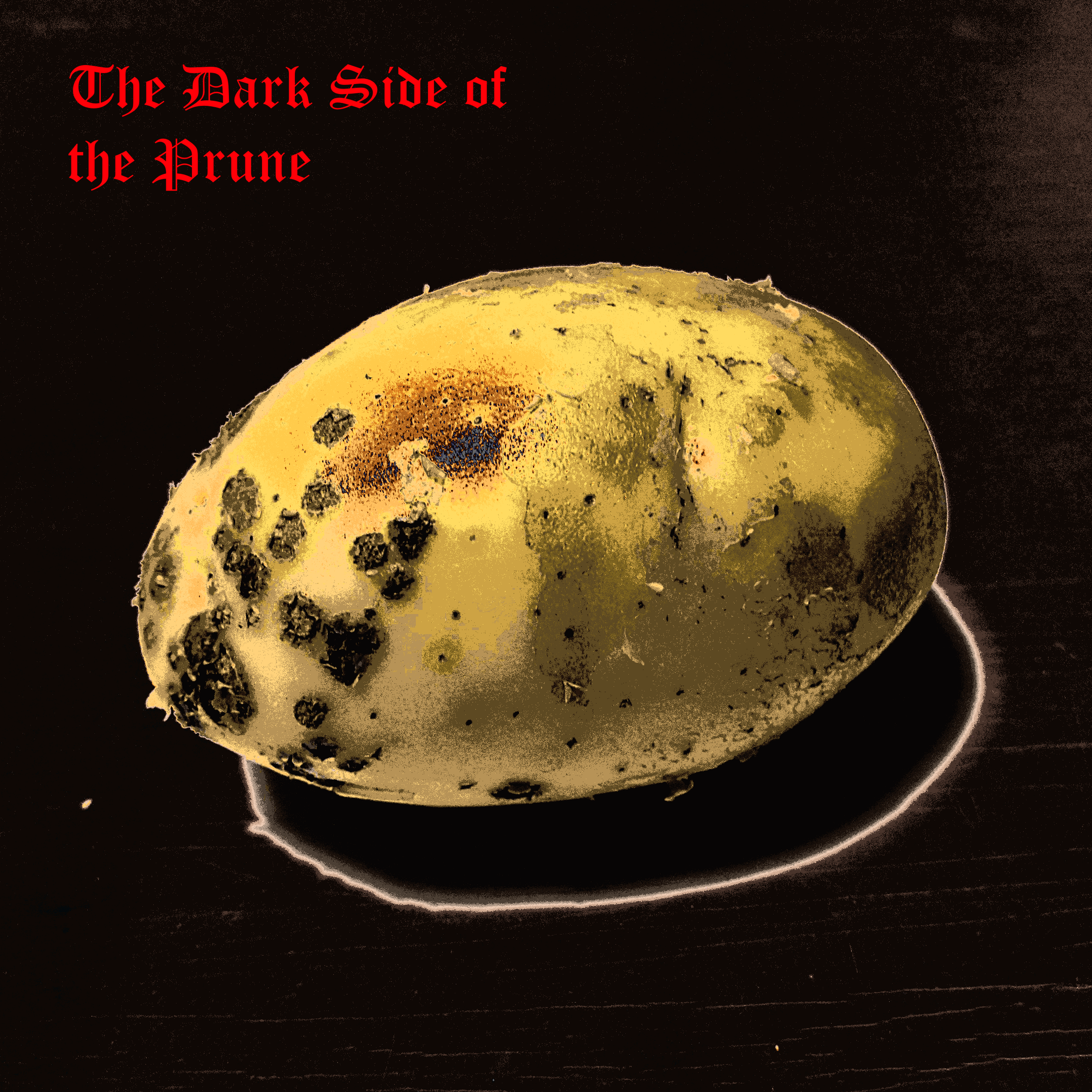 The Dark Side of the Prune cover