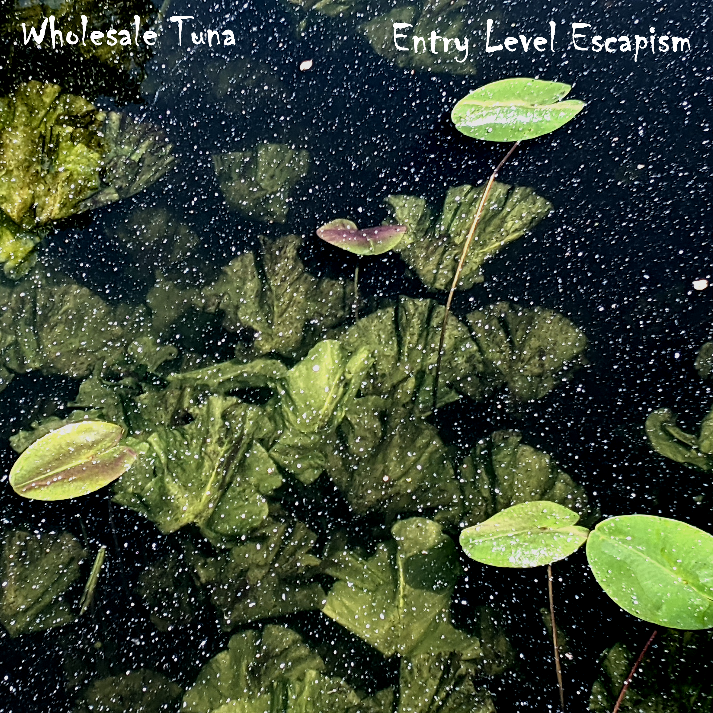 Entry Level Escapism cover