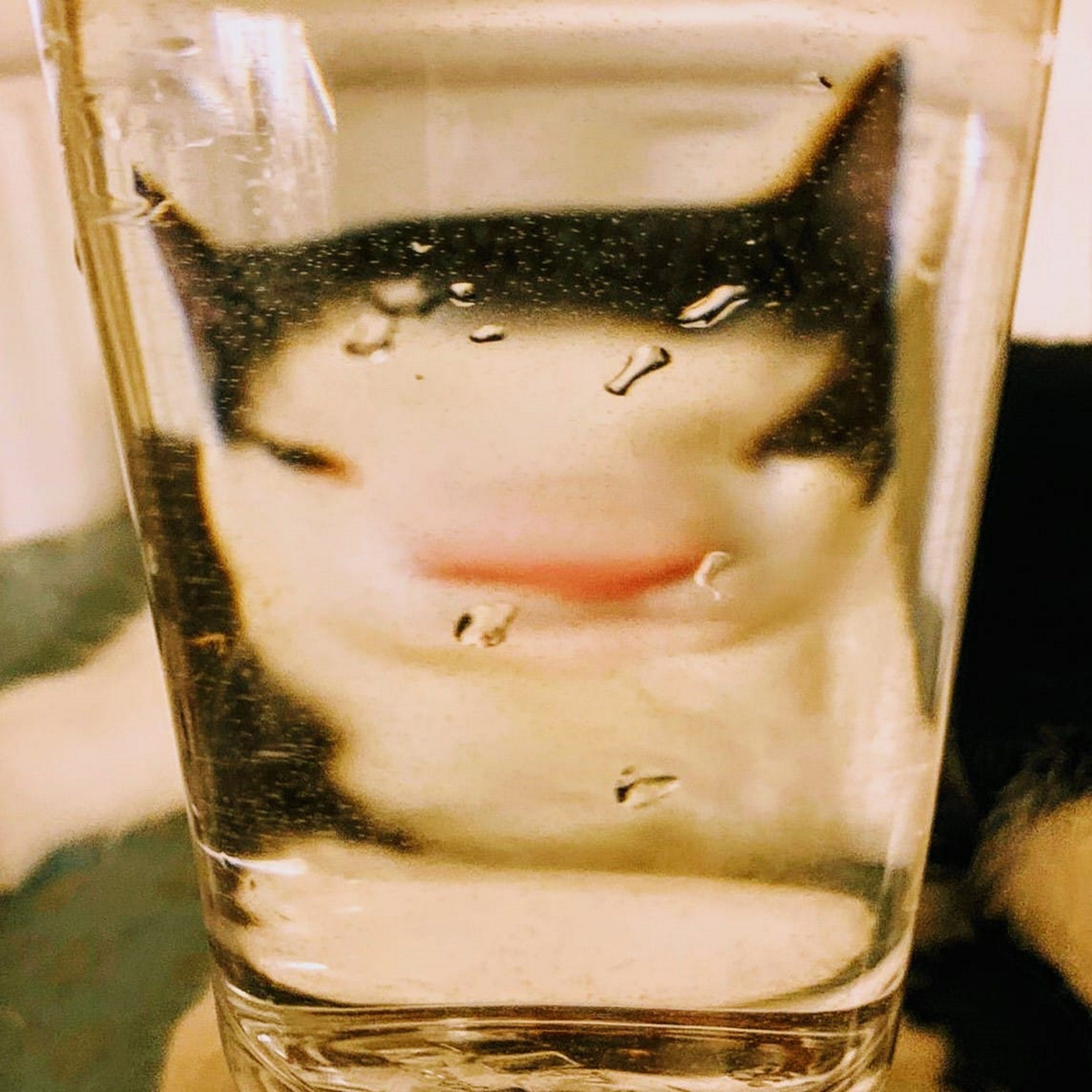 Polarized Mood cover